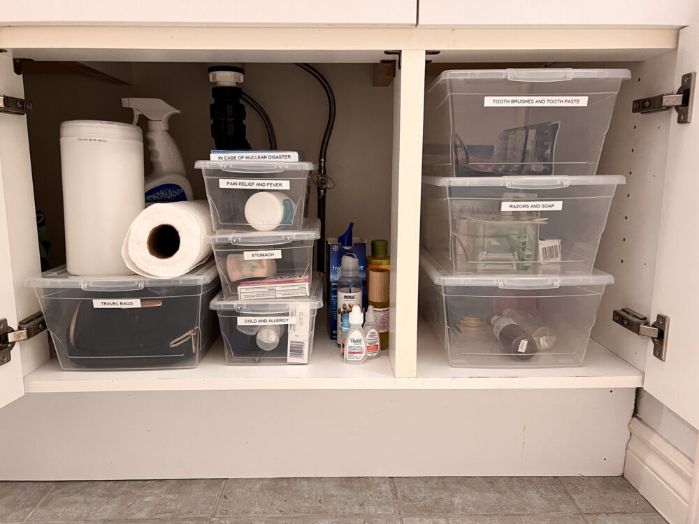 organize under the bathroom sink