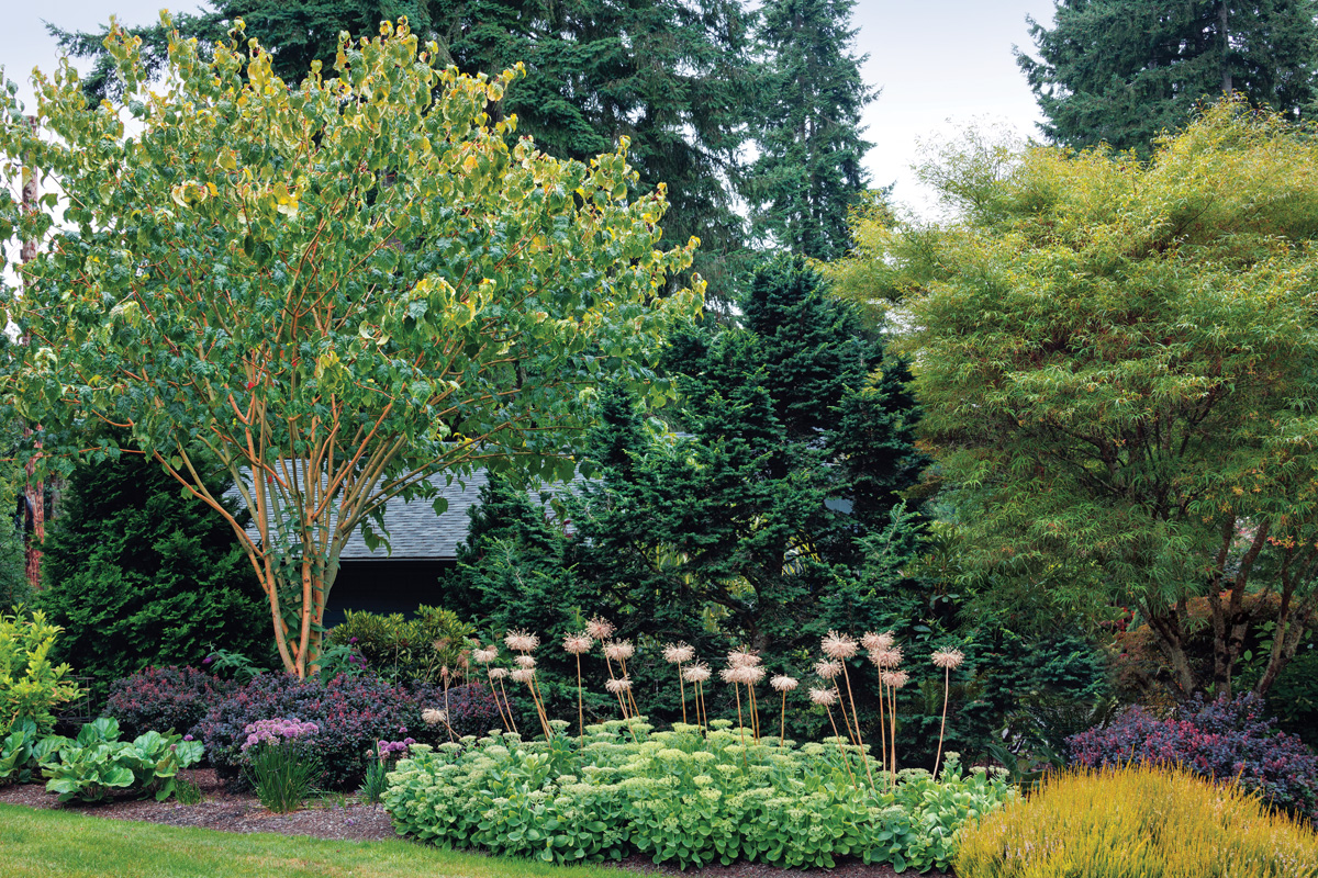 A deep garden border has multiple layers for interest