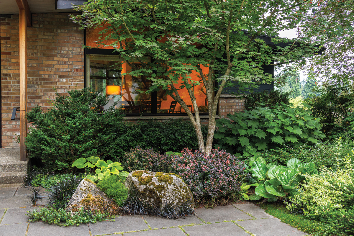 Pairing contrasting features like color, texture, and shape help plants pop, especially in deeply layered configurations.