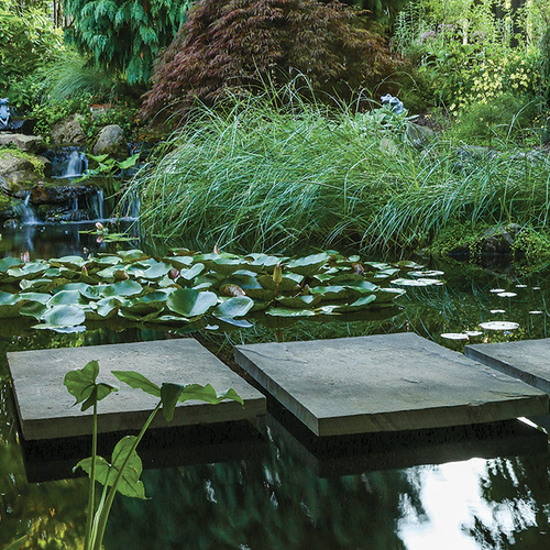 stepping stones over a garden pond