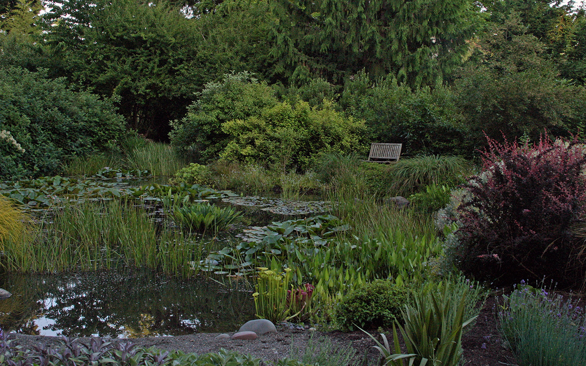 large garden pond with surrounding plants and small beach leading to water