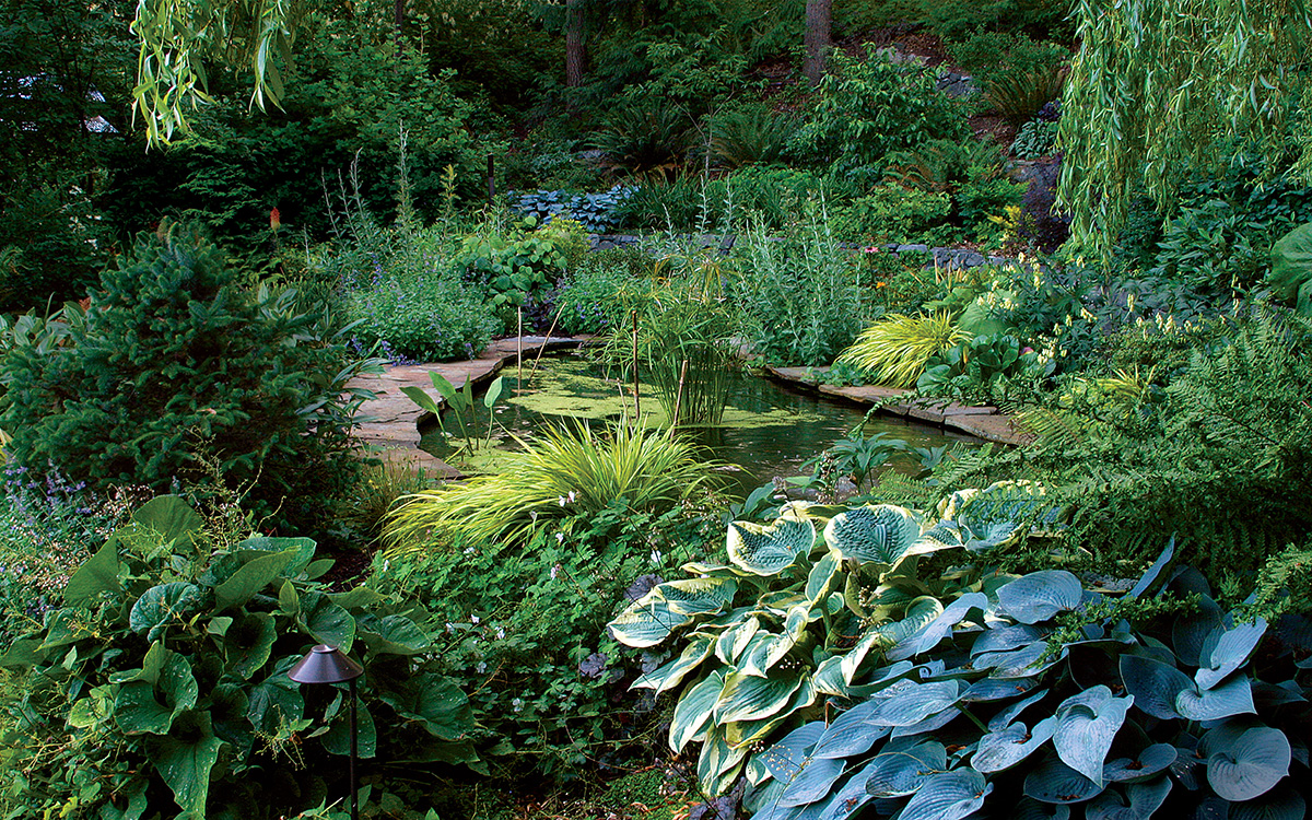 garden pond surrounded by foliage plants