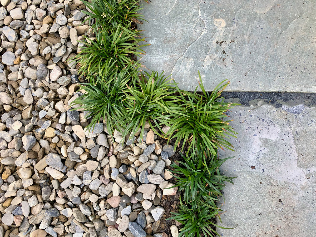 dwarf grass around edges of flagstone and pea gravel patio