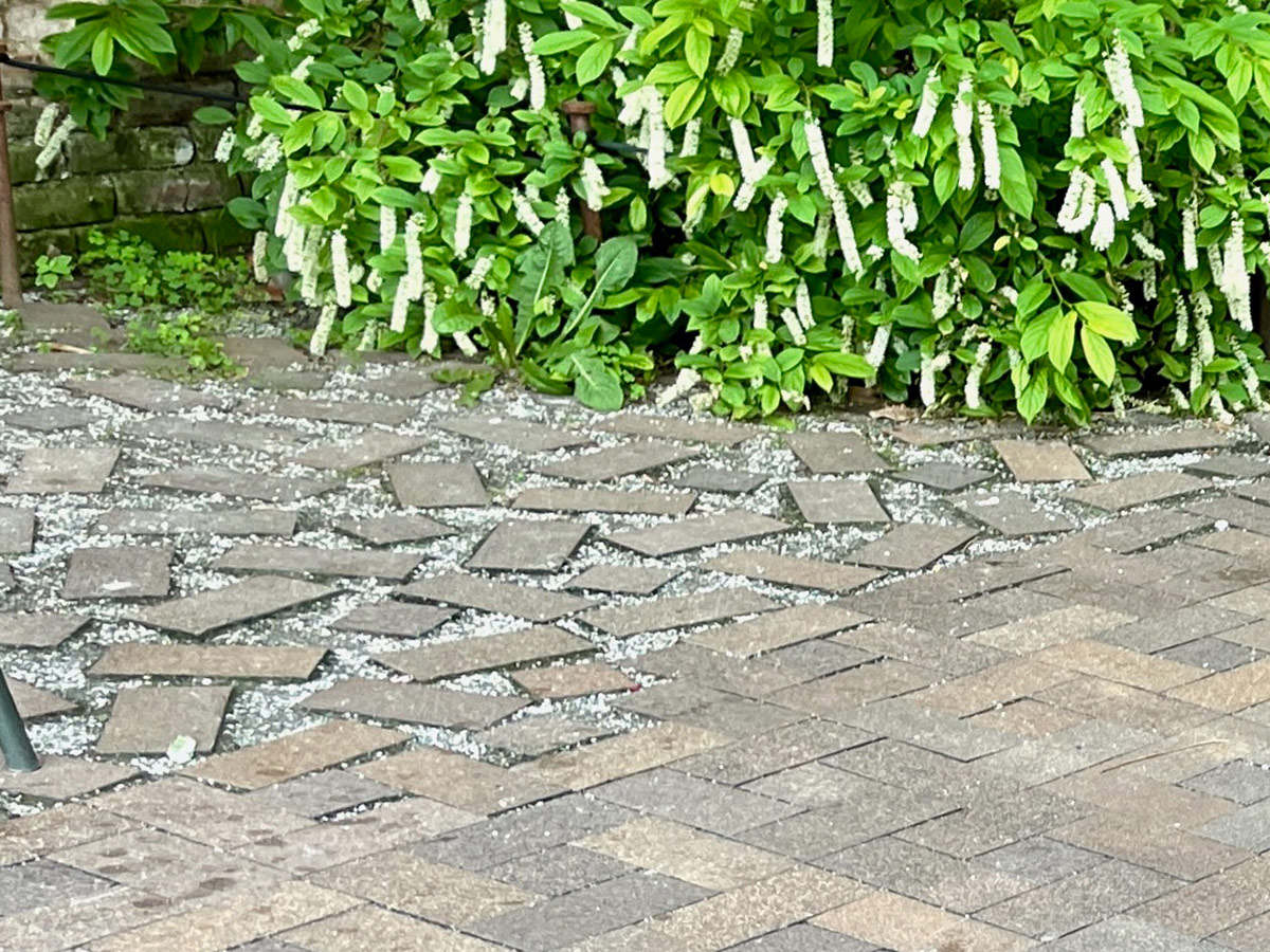 exploding brick patio edge