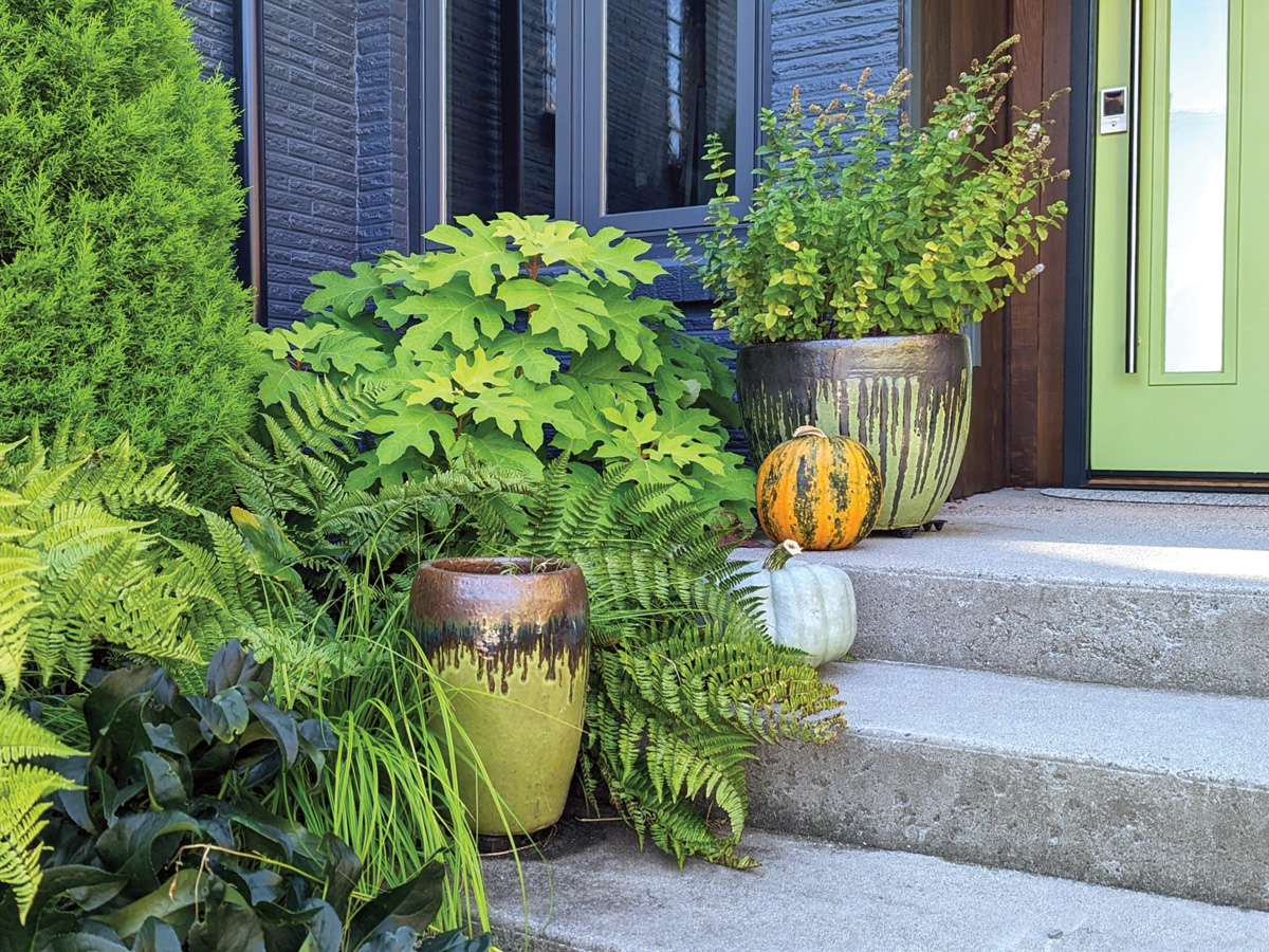 Courtesy of Courney Olander