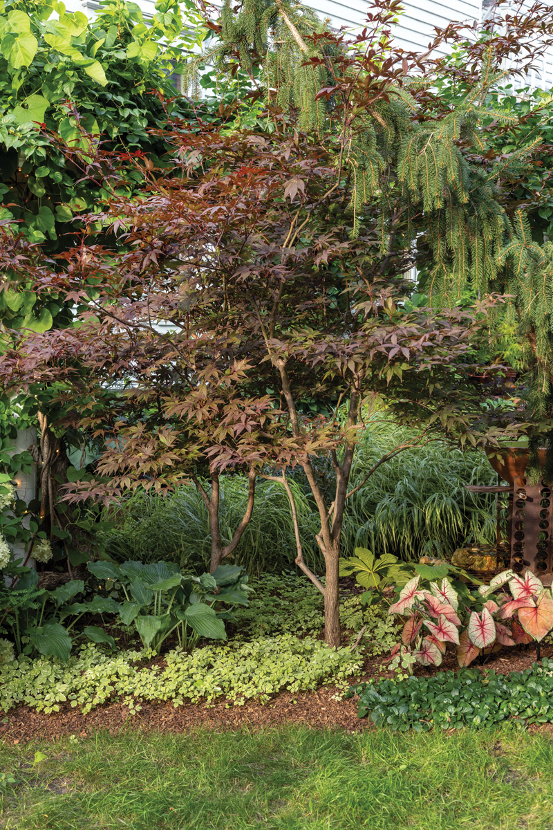 Photography by Tracy Walsh Photo