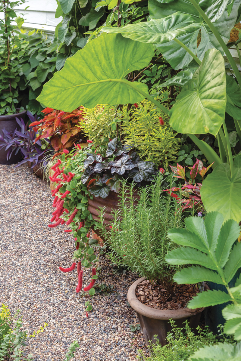 Photography by Tracy Walsh Photo