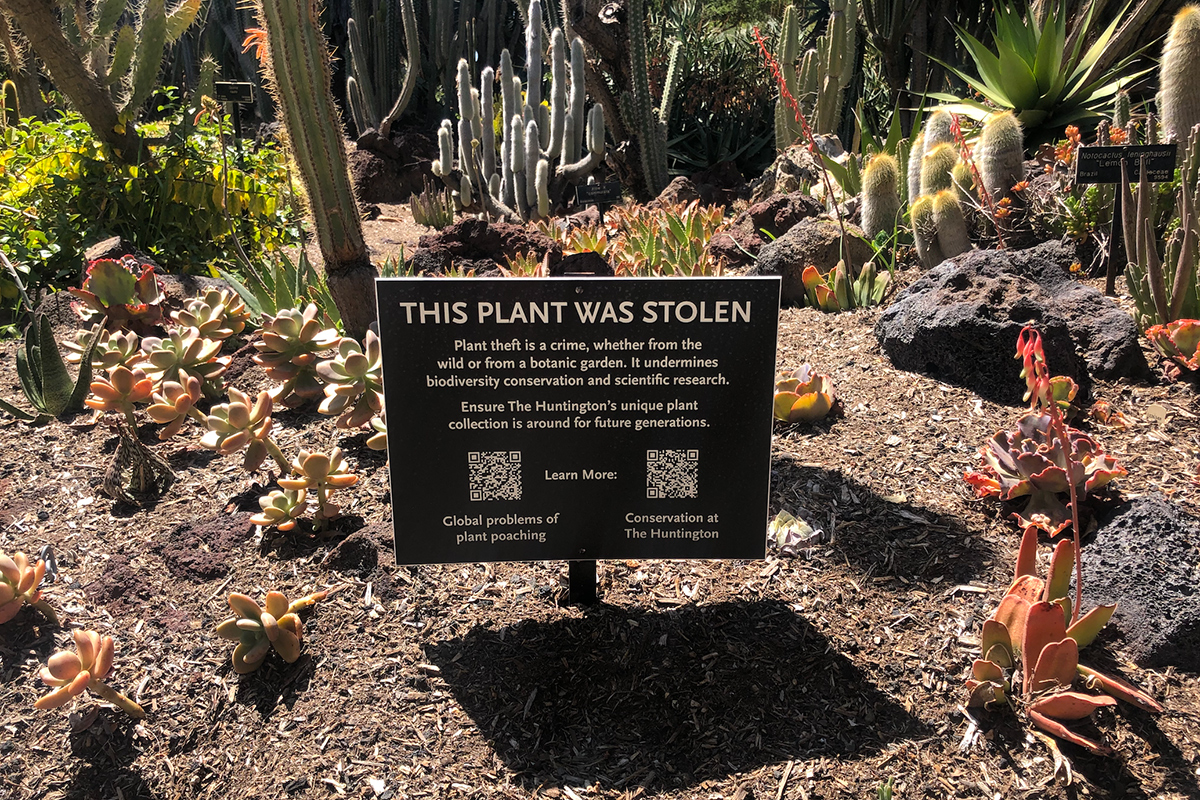sign about plant theft in dessert garden bed
