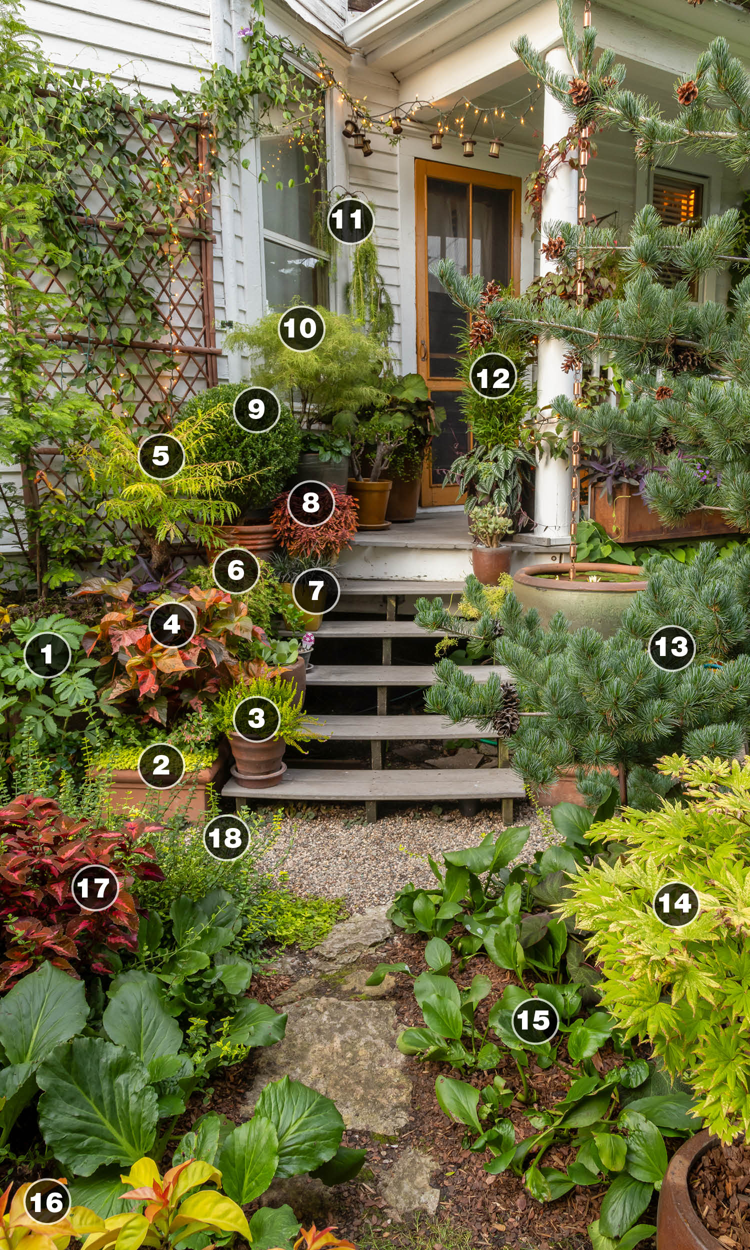 small space garden plan with container plantings