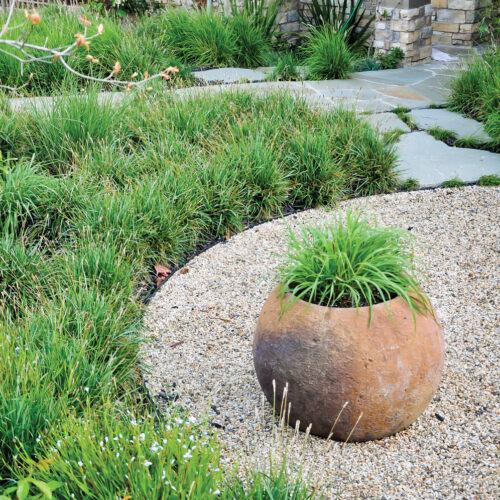 ornamental grasses that grow in thick mats offer weed suppression in addition to interest