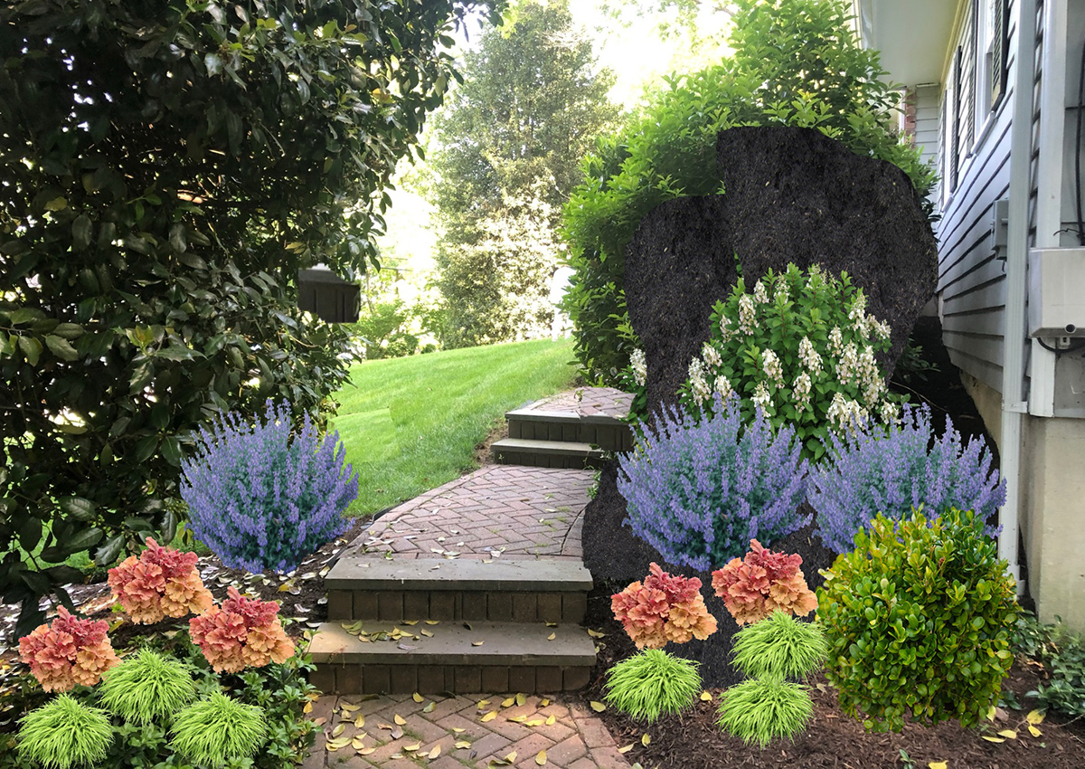 front walk garden mocked up with iScape