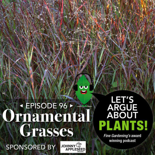 Episode 96: Favorite Ornamental Grasses